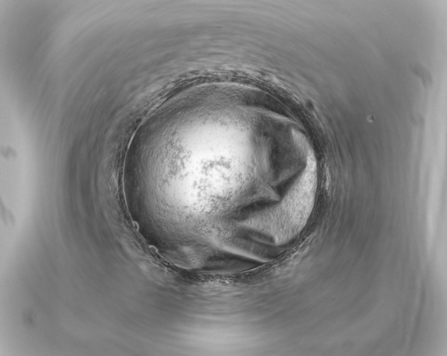 X0000090891489200708101353