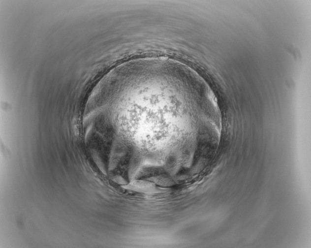 X0000090891490200708101353