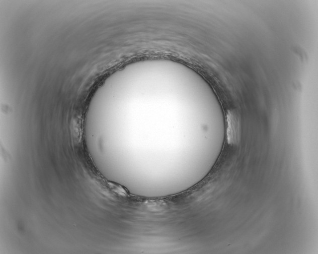 X0000090891491200708101353