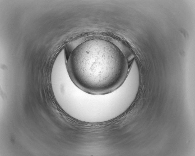 X0000090891492200708101353