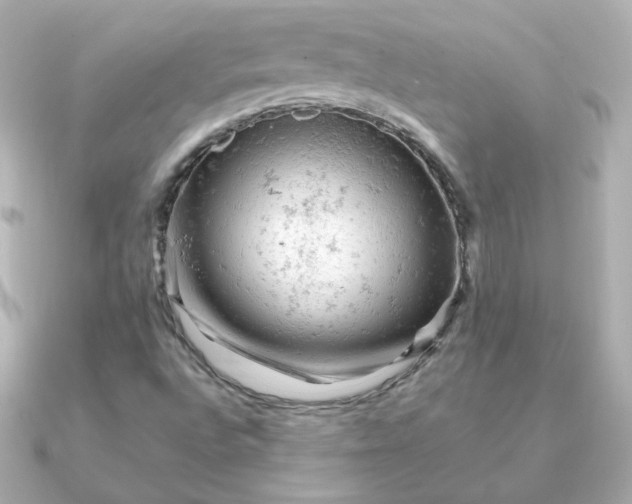 X0000090891496200708101353