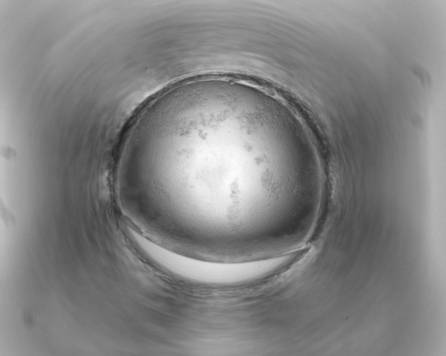 X0000090891497200708101353