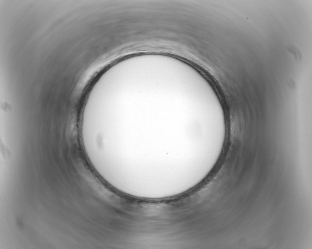 X0000090891498200708101353