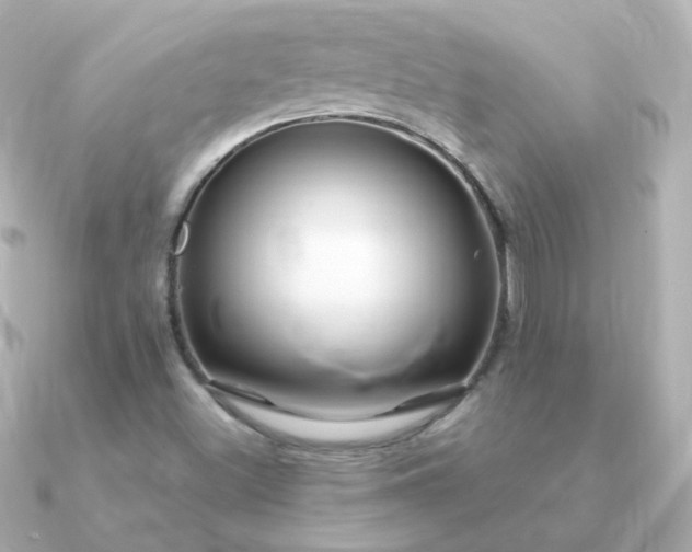 X0000090891500200708101353