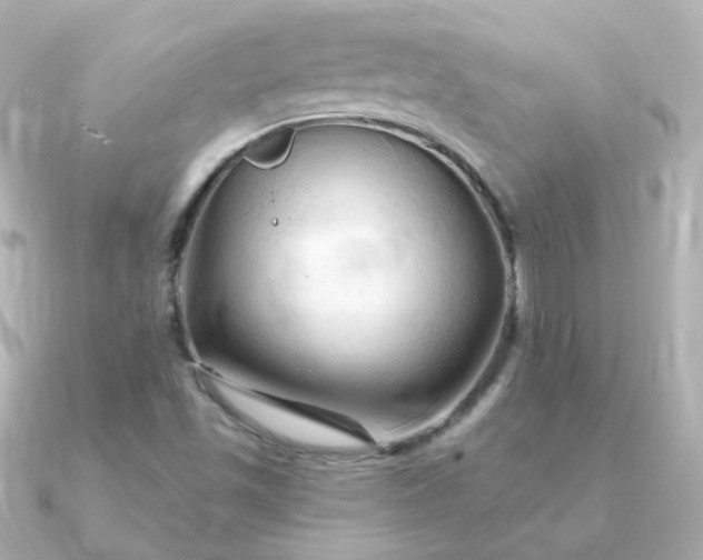 X0000090891501200708101353