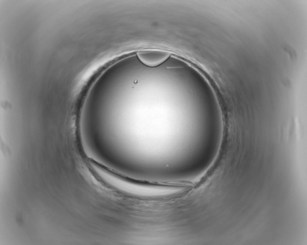 X0000090891503200708101353