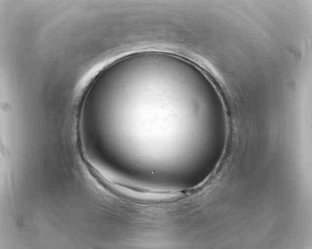 X0000090891504200708101353