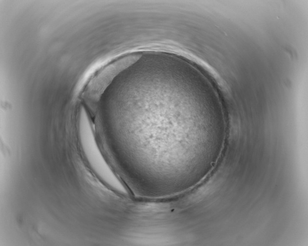 X0000090891506200708101353