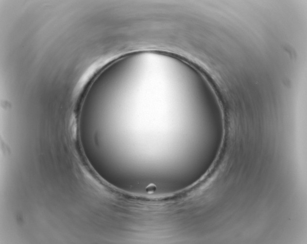 X0000090891509200708101353