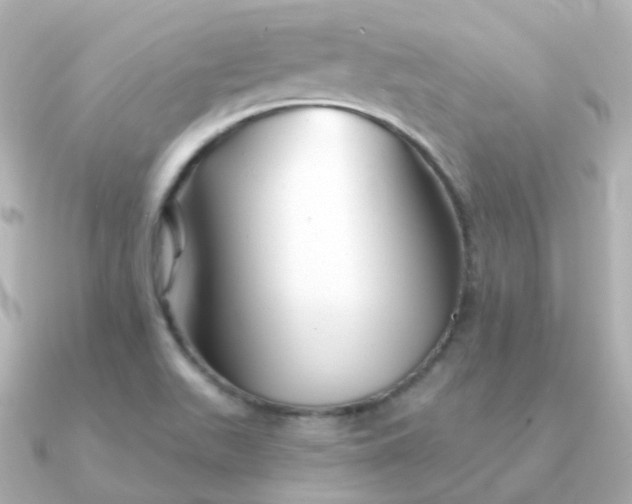 X0000090891511200708101353