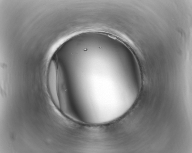 X0000090891512200708101353