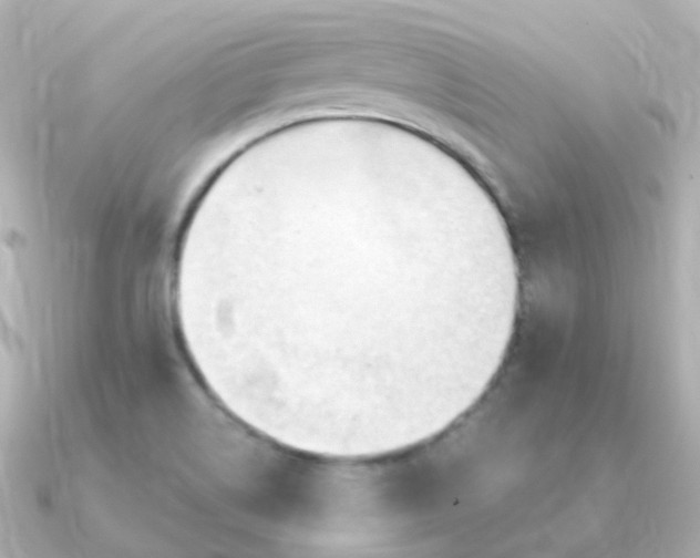 X0000090891514200708101353