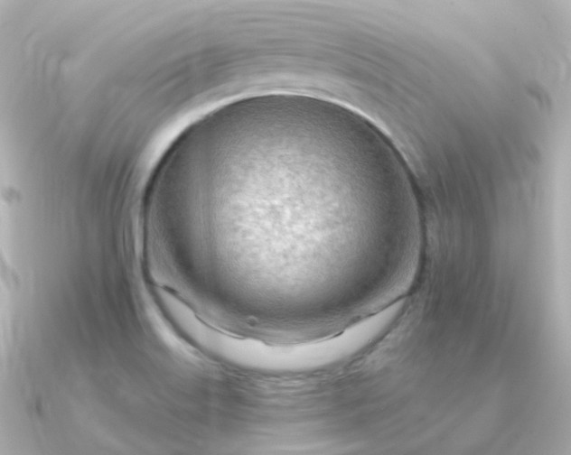 X0000090891515200708101353