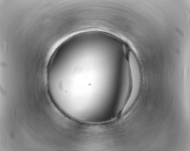 X0000090891516200708101353