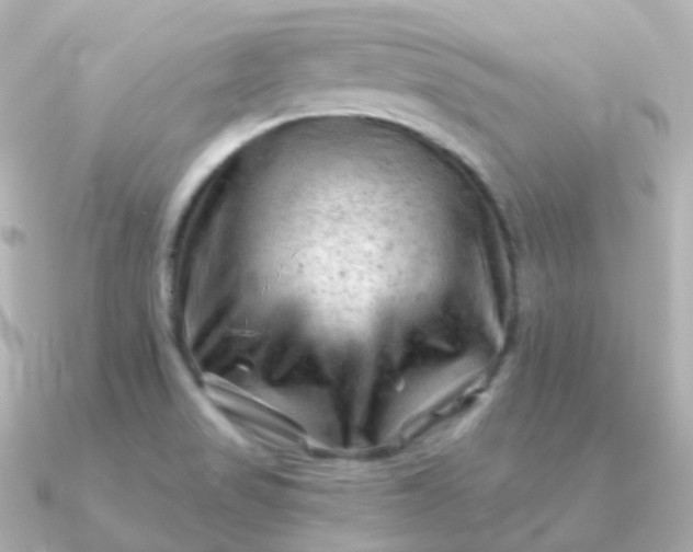 X0000090891517200708101353