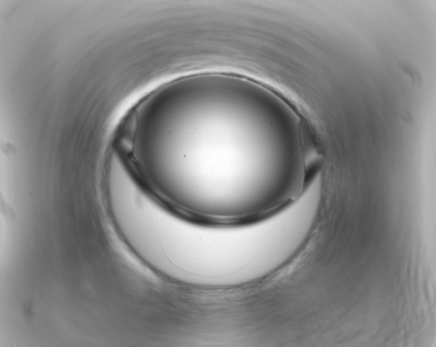 X0000090891518200708101353