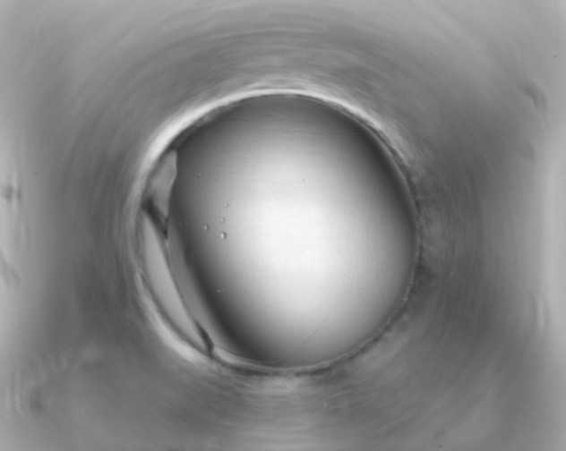 X0000090891519200708101353