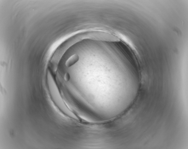 X0000090891520200708101353