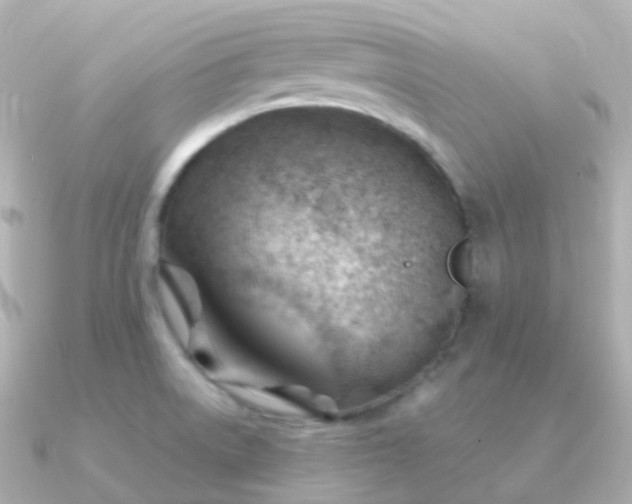 X0000090891522200708101353