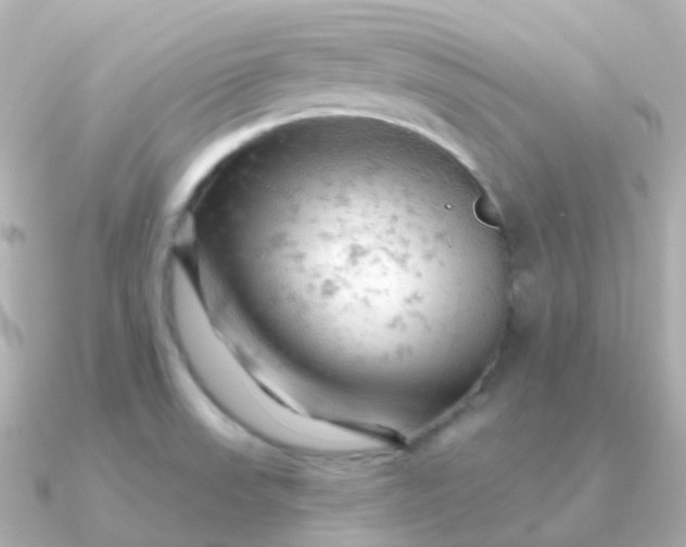 X0000090891523200708101353