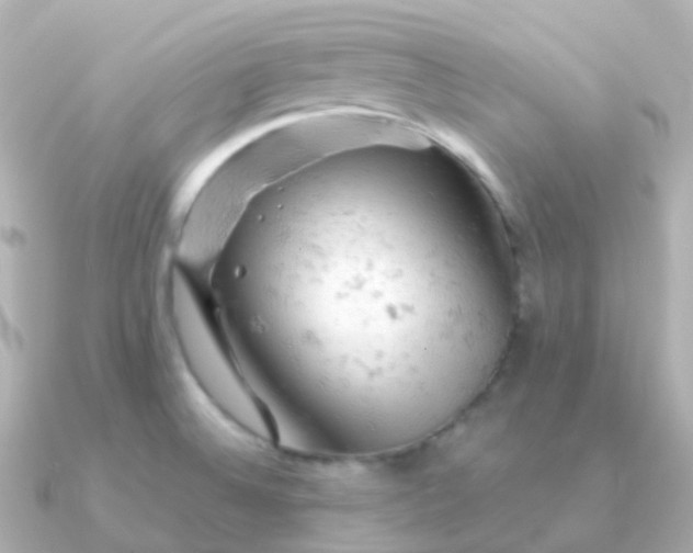 X0000090891524200708101353