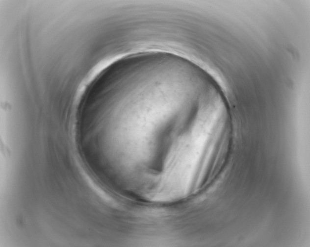 X0000090891525200708101353