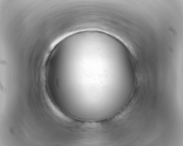 X0000090891526200708101353