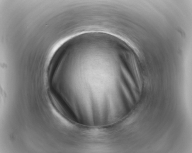 X0000090891527200708101353