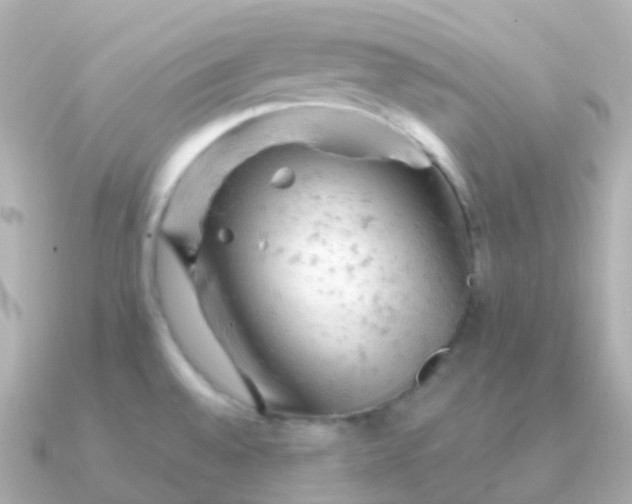 X0000090891528200708101353