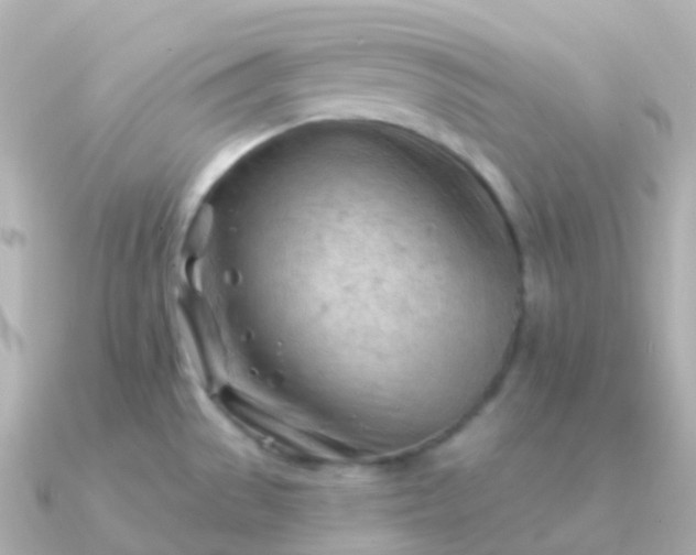 X0000090891529200708101353