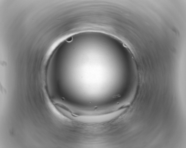 X0000090891531200708101353