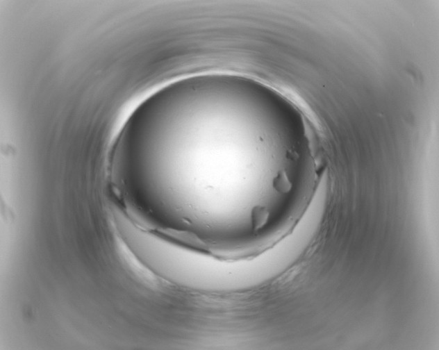 X0000090891532200708101353