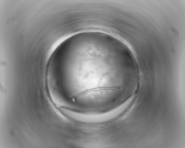 X0000090891533200708101353