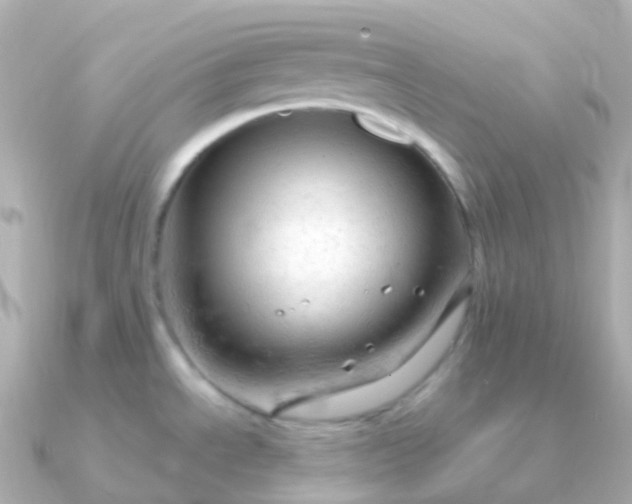 X0000090891534200708101353