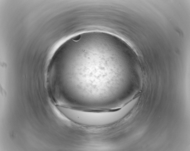 X0000090891535200708101353