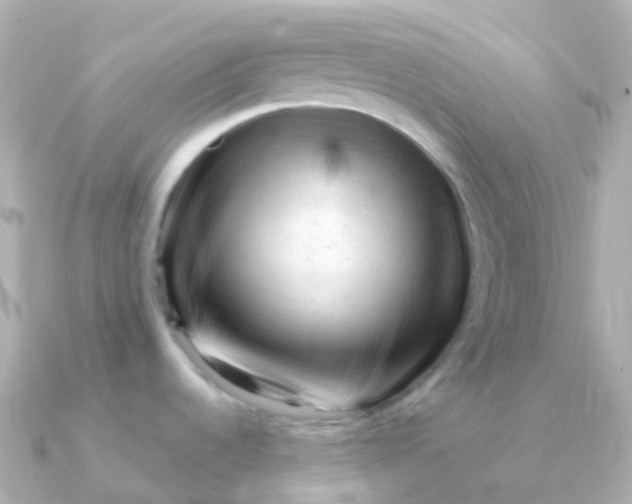 X0000090891536200708101353