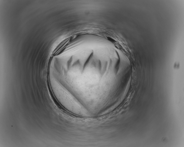 X0000090890003200708171715