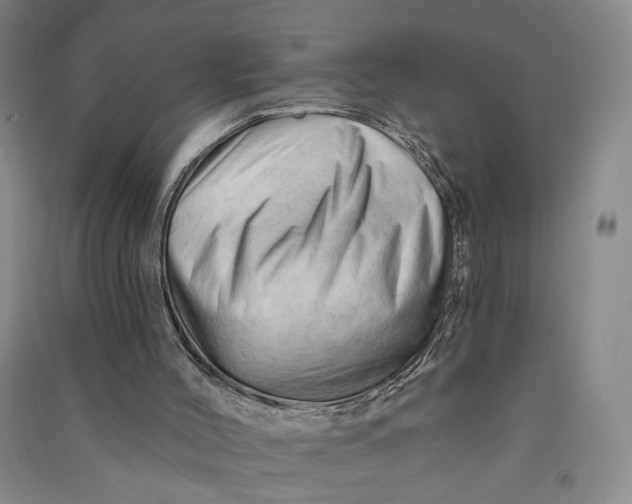 X0000090890004200708171715