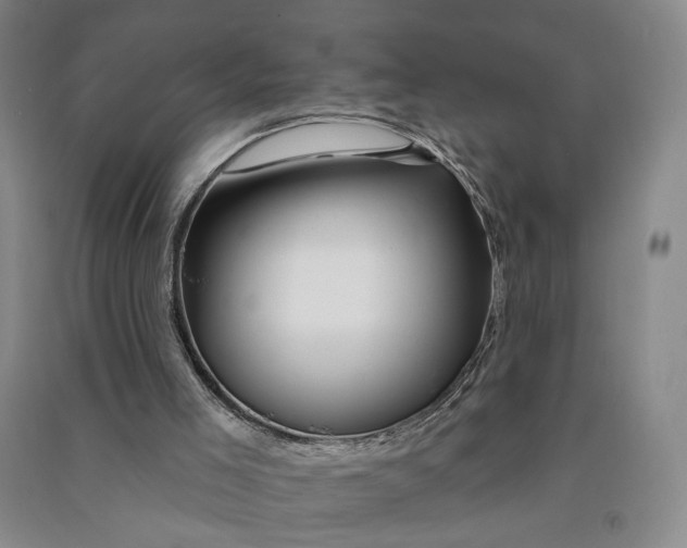 X0000090890005200708171715