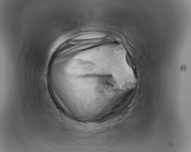 X0000090890006200708171715