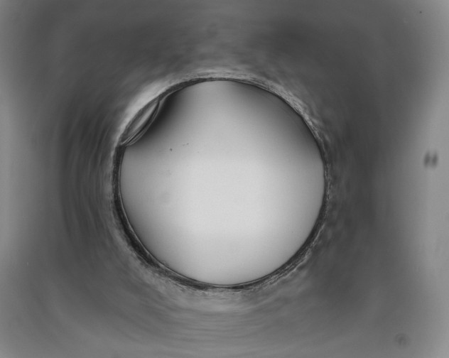 X0000090890008200708171715