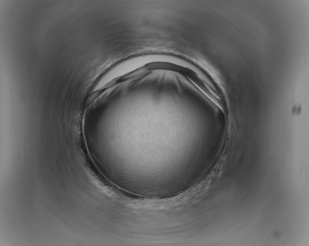 X0000090890009200708171715