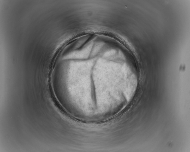 X0000090890010200708171715