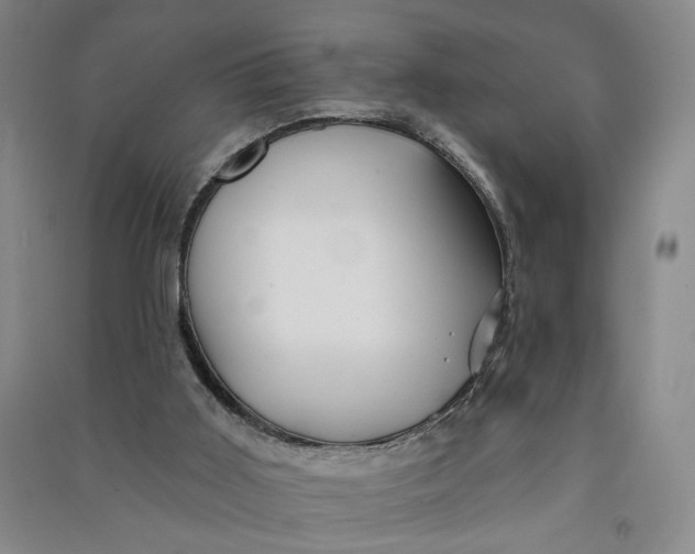 X0000090890011200708171715