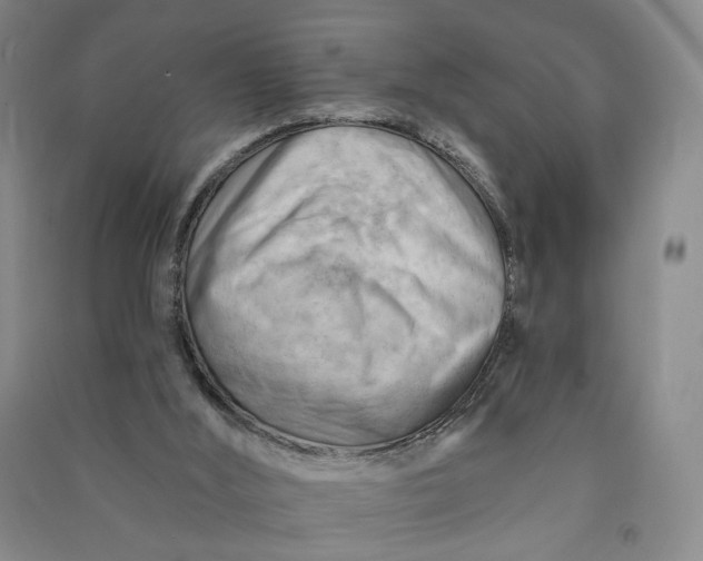 X0000090890012200708171715