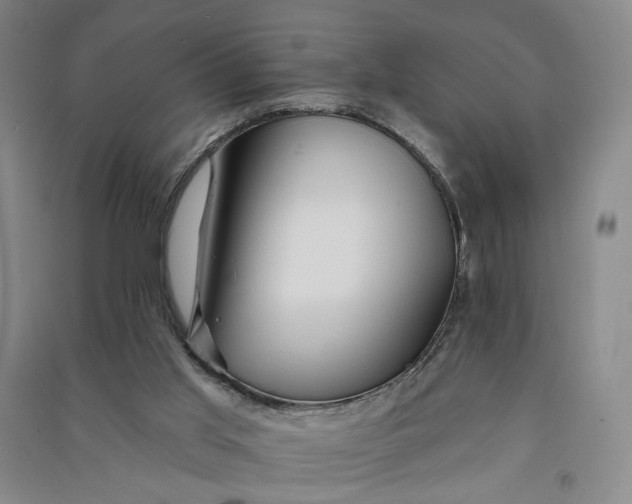 X0000090890013200708171715