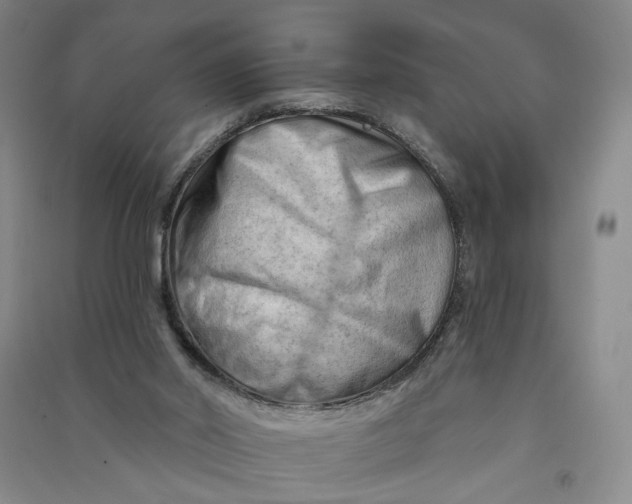 X0000090890014200708171715