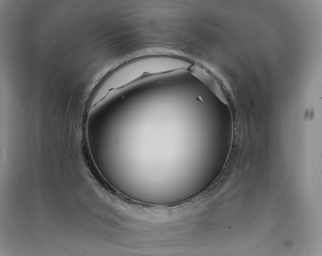 X0000090890015200708171715