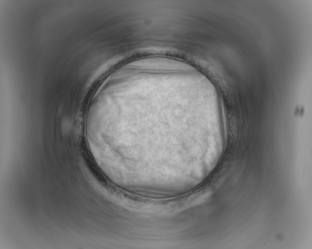 X0000090890016200708171715