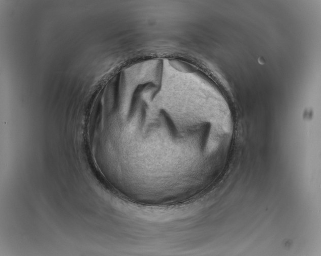 X0000090890018200708171715